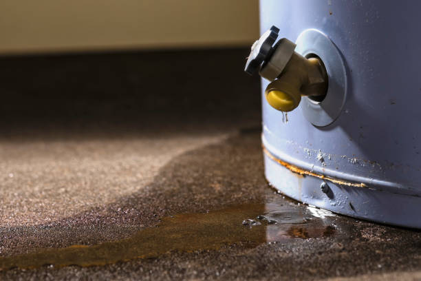 Best Water damage restoration near me  in Colorado City, AZ