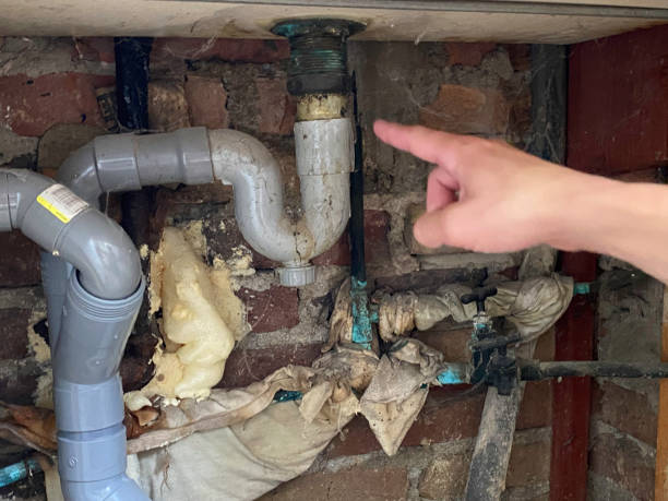 Trusted Colorado City, AZ Water damage restoration Experts