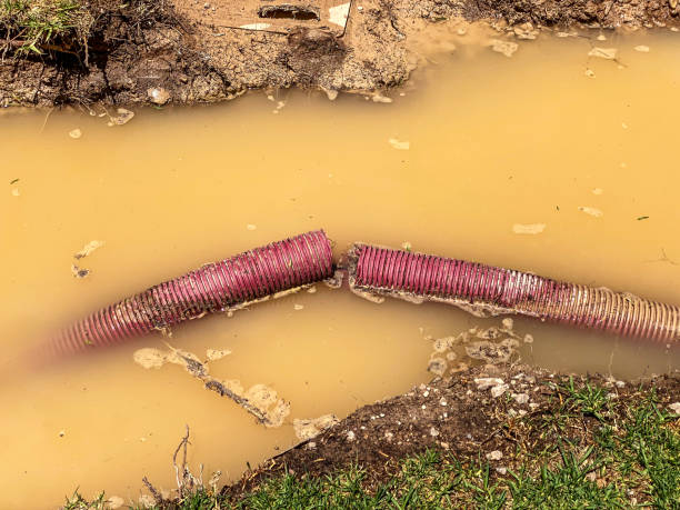 Best Residential water damage restoration  in Colorado City, AZ